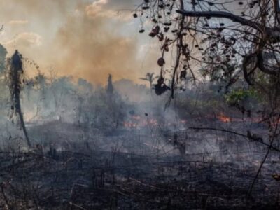 Exclusivo: “Amazônia está à beira do precipício”, alerta Carlos Nobre. Colapso irreversível já nos próximos 30 anos. Veja Vídeo