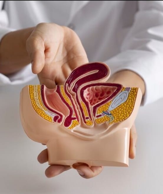Presente em cerca de 15% a 25% dos homens jovens, saiba por que devem se preocupar com a varicocele. Saiba mais com urologista do Albert Einstein