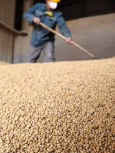 Trump pede à China que quadruplique os pedidos de soja; medida pode afetar Brasil