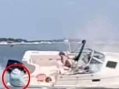 Mulher é jogada ao mar após baleia atingir barco; VEJA VÍDEO