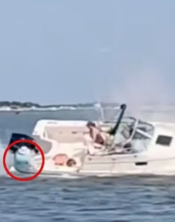 Mulher é jogada ao mar após baleia atingir barco; VEJA VÍDEO