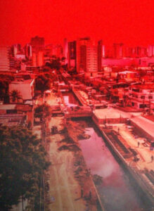 Licitação da COP30 comprometida por corrupção, diz site metrópoles