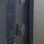 ‘Bunker’ com fuzis é encontrado em SP após operação que apreendeu armas ligadas ao Comando Vermelho; VEJA VÍDEO