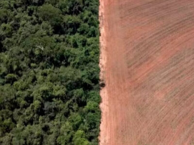 Brasil perdeu território maior que a Bolívia de áreas naturais em 40 anos, mostra estudo – Copy