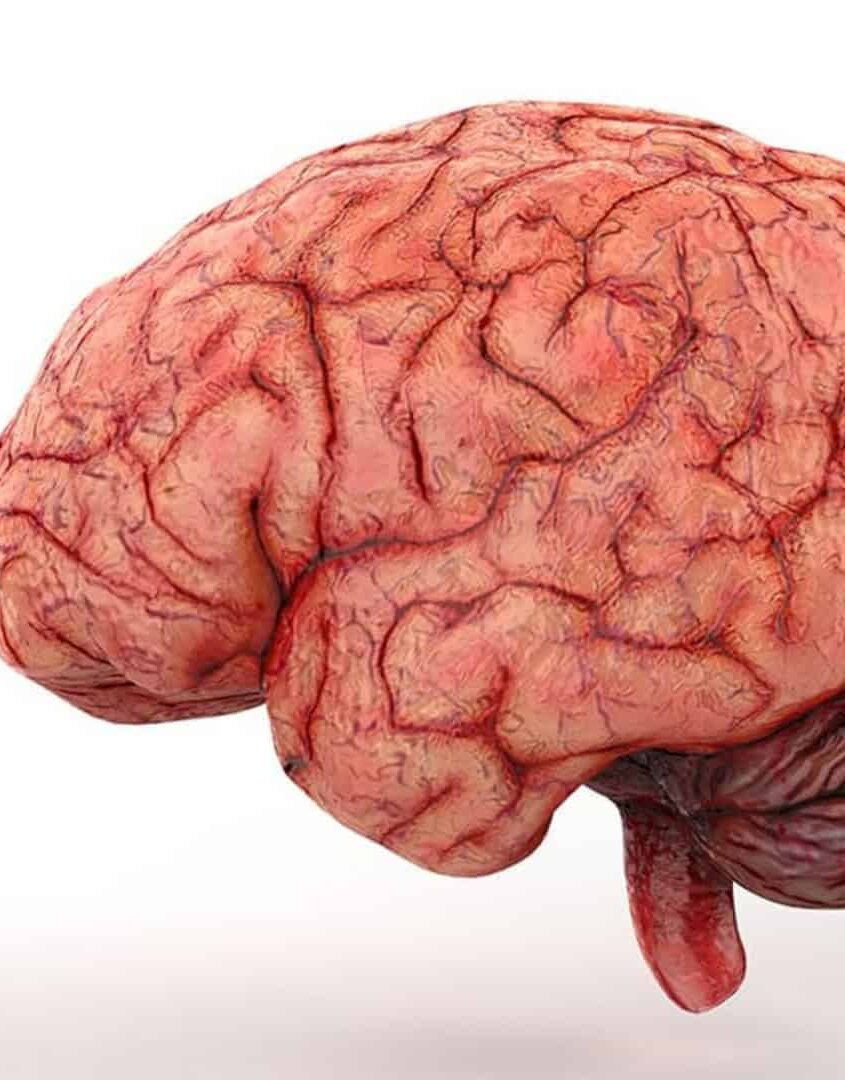 Cérebro reage ao ver pessoas doentes se aproximando, revela estudo