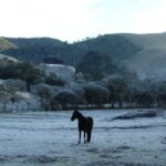 Prepare o casaco! Frio ganha força e temperaturas despencam no fim de semana