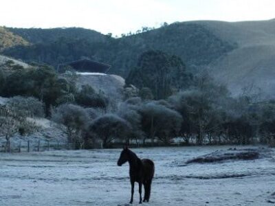 Prepare o casaco! Frio ganha força e temperaturas despencam no fim de semana
