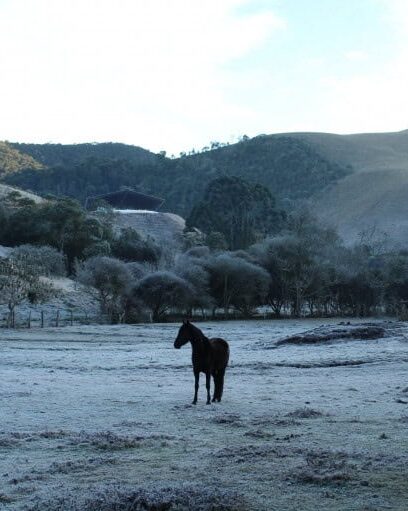 Prepare o casaco! Frio ganha força e temperaturas despencam no fim de semana