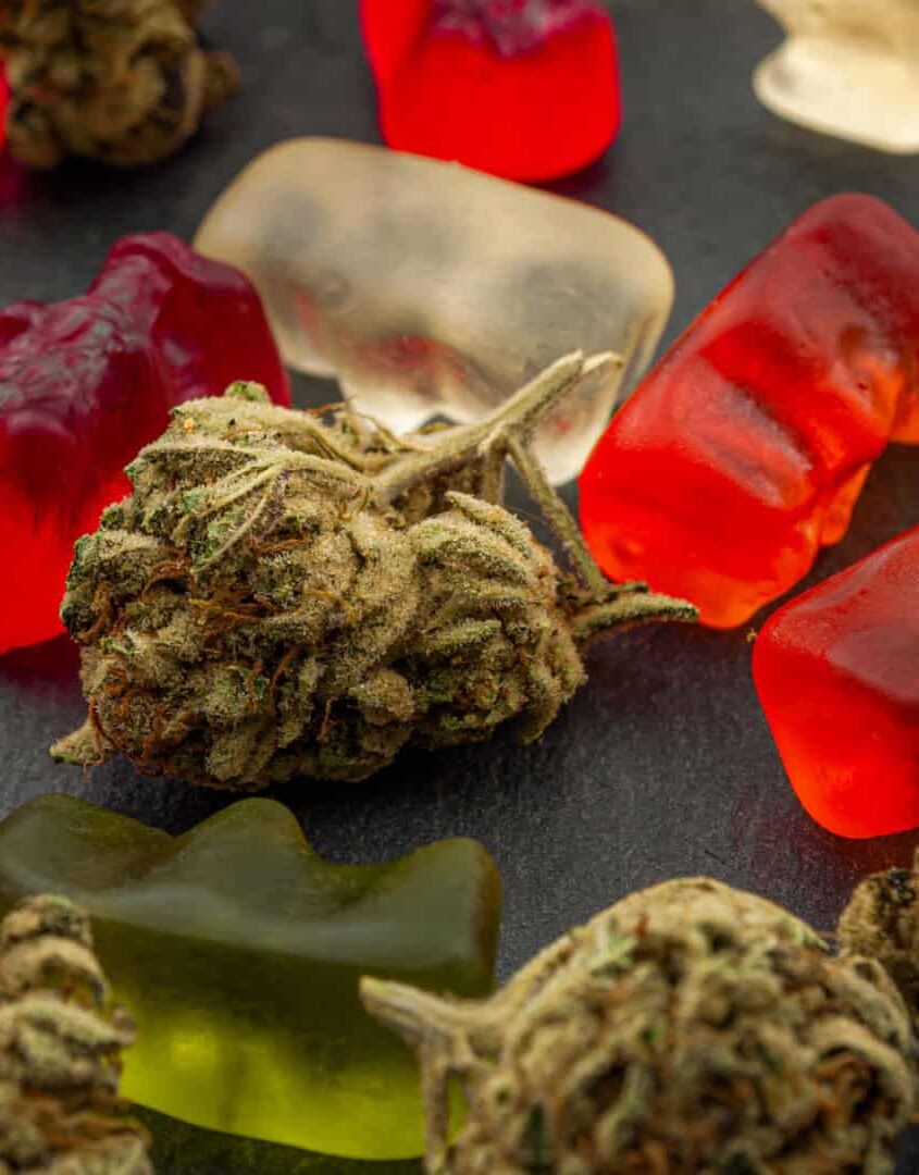 Gummies de maconha: casos de intoxicação sobem nos EUA