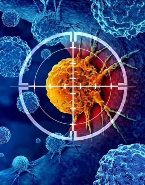 Cientistas criam terapia que une bactérias e vírus contra o câncer