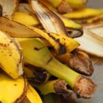 Esse truque fácil com cascas de banana vai salvar suas plantas