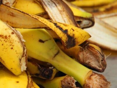 Esse truque fácil com cascas de banana vai salvar suas plantas