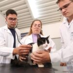 Dia do Médico Veterinário é celebrado hoje no Brasil, dia 09. Unimar homenageia profissionais e reforça tradição de pioneirismo. Confira!