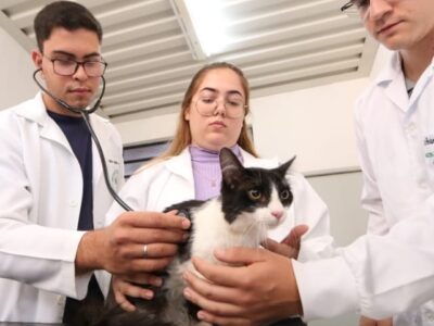 Dia do Médico Veterinário é celebrado hoje no Brasil, dia 09. Unimar homenageia profissionais e reforça tradição de pioneirismo. Confira!
