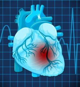 Saúde: Campanha Setembro Vermelho foca na prevenção de doenças cardiovasculares e é lançada oficialmente em Mariília. Veja a programação