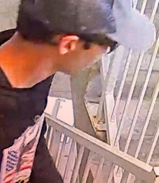 Trump diz que suspeito de ter assassinado Charlie Kirk foi detido