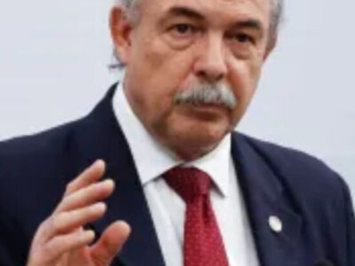 EUA têm interesse em terras raras e nós queremos negociar, diz Mercadante