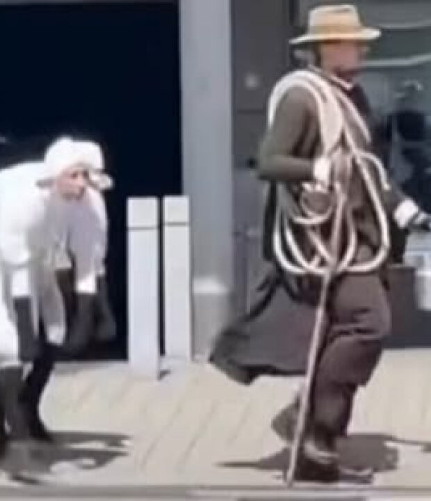 Grupo de pessoas que se identificam como ovelhas segue ‘pastor’ pelas ruas; VEJA VÍDEO