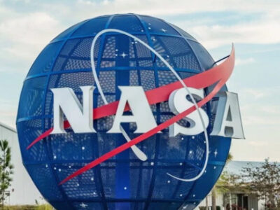 As plantas da NASA que purificam o ar e todos querem em casa