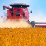 Agro: recuperações judiciais disparam e batem recorde no 2º trimestre