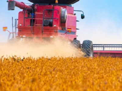 Agro: recuperações judiciais disparam e batem recorde no 2º trimestre