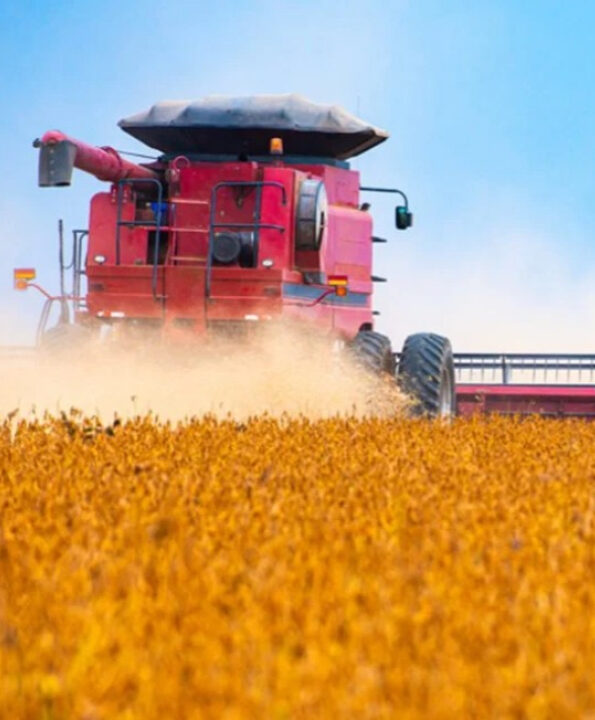 Agro: recuperações judiciais disparam e batem recorde no 2º trimestre