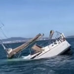 Baleia assassina? Orcas afundam barco com 5 pessoas em Portugal; VEJA VÍDEO