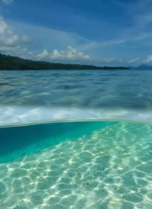 Quais são as diferenças entre mar e oceano?
