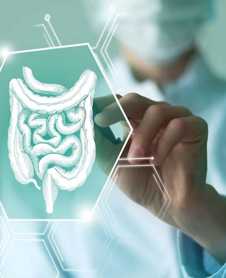 Nova técnica usa bactéria para atacar câncer de cólon