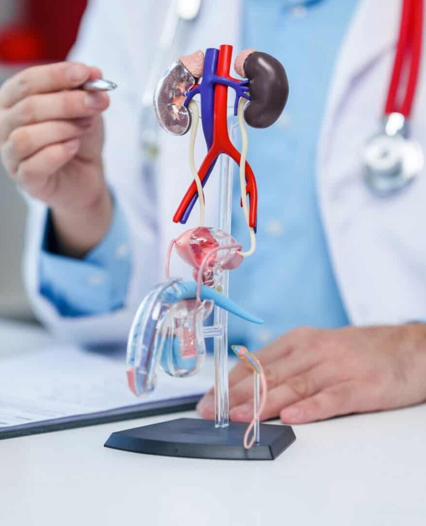 Nova terapia dobra tempo sem progressão no câncer de próstata