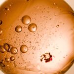 Transplantes do futuro? Pesquisadores criam minirrins em laboratório