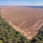 Amazônia: mapeamento feito por IA ajudará a combater desmatamento