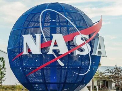 As 7 plantas que te fazem respirar melhor em casa, segundo a NASA