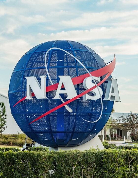 As 7 plantas que te fazem respirar melhor em casa, segundo a NASA