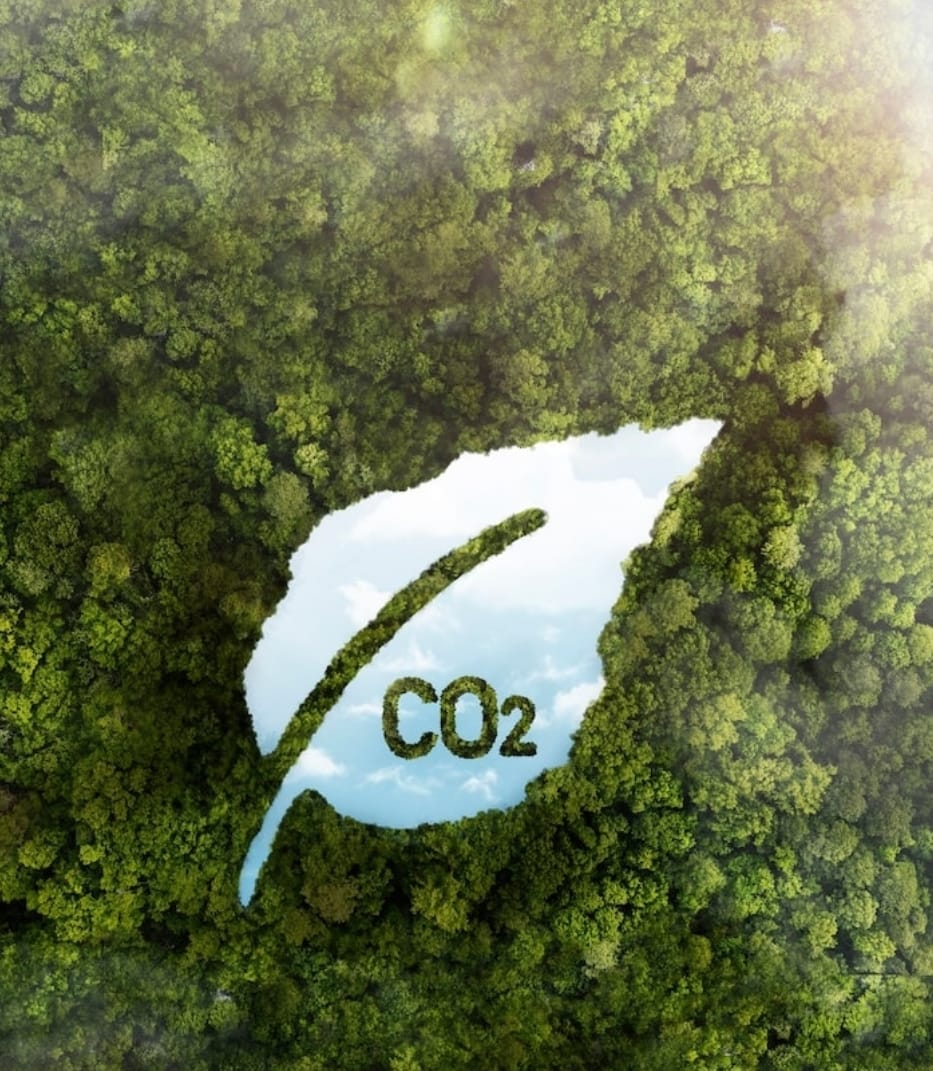 Sicredi neutraliza 27 mil toneladas de carbono calculadas em seu Inventário de Emissões através de todas agências no Brasil e sede administrativa. Cumpre compromisso com a sustentabilidade