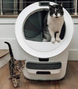 Caixa de areia robótica tem IA e reconhecimento facial para o seu gato