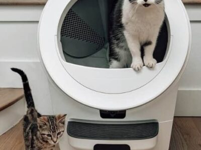 Caixa de areia robótica tem IA e reconhecimento facial para o seu gato