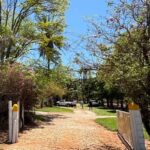 É hoje! Marília realiza 1º Festival do Café com muitas atrações. Sinval Gruppo, presidente do Sinhores, diz que a cidade vive “era de ouro” para o Turismo. Veja aqui a ampla programação