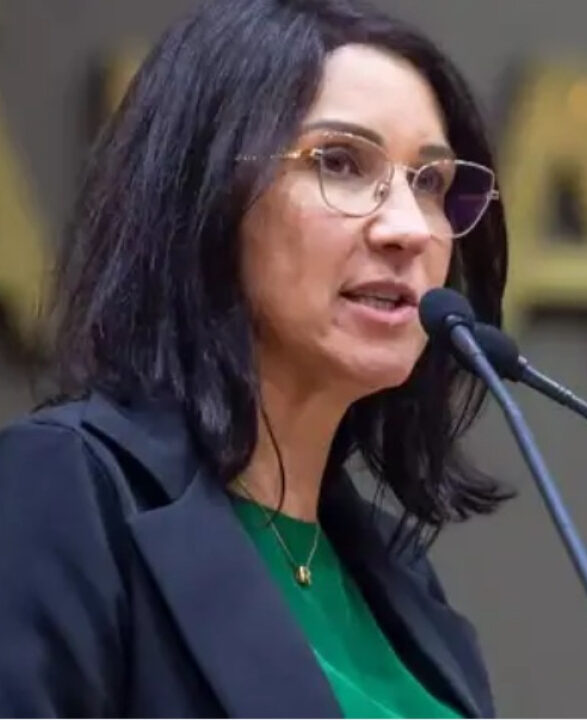 Presidente da Câmara de Porto Alegre denuncia ataque de esquerdistas