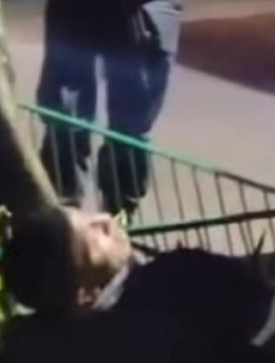 Mulher reage à assalto e joga carro por cima dos criminosos, que ficam presos sob as ferragens do veículo
