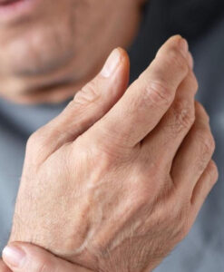 Cientistas descobrem como frear a osteoporose e fortalecer os ossos na velhice