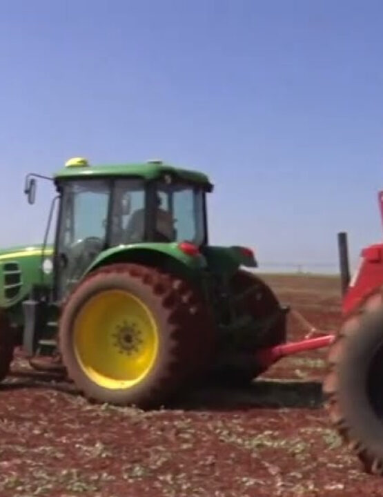Produtores rurais não conseguem crédito para plantar no governo Lula e começam a falir; ENTENDA