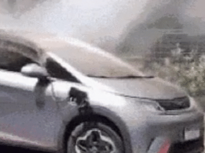 BYD Dolphin pega fogo durante recarga; entenda o que causou e como se prevenir
