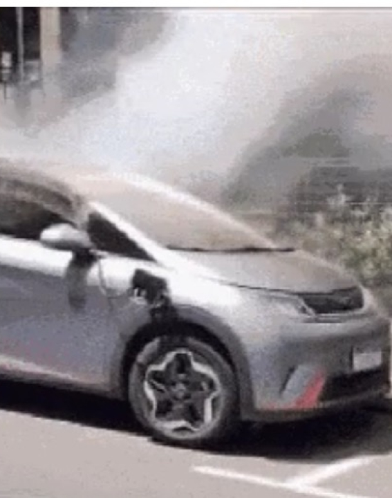 BYD Dolphin pega fogo durante recarga; entenda o que causou e como se prevenir