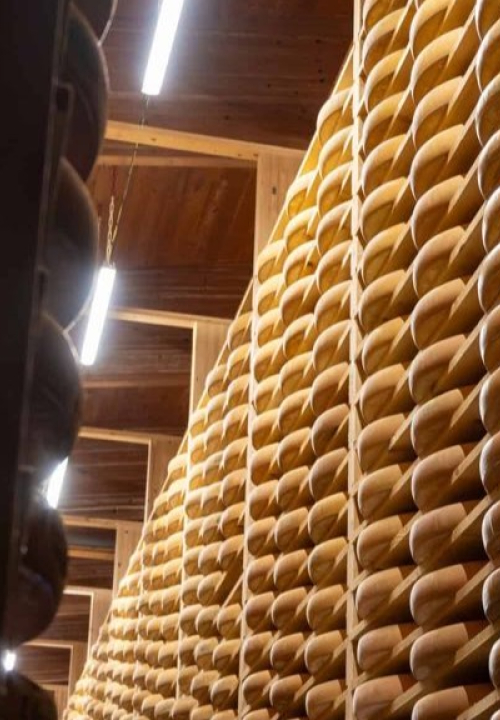 Por que os EUA guardam mais de 600 milhões de quilos de queijo em cavernas?