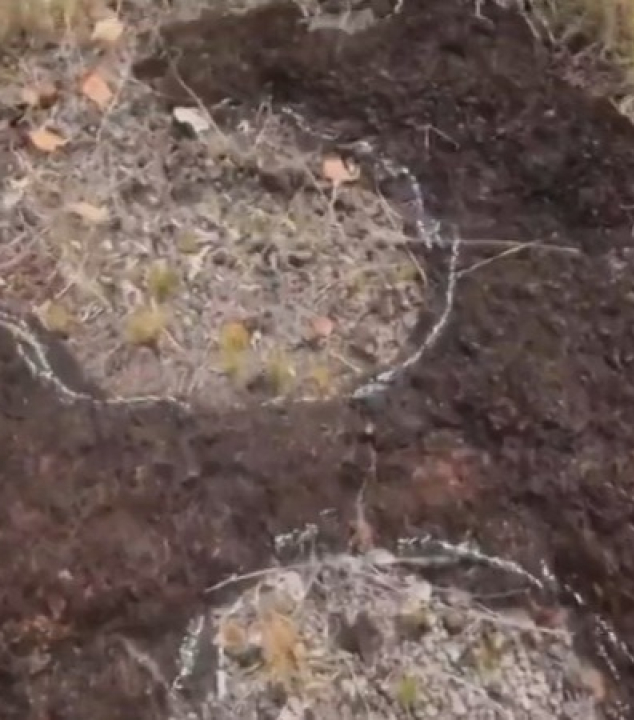Pegadas de dinossauros são descobertas na Amazônia