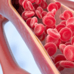 VÍDEO: Ultrassom 4D inova ao mapear fluxo sanguíneo com precisão inédita