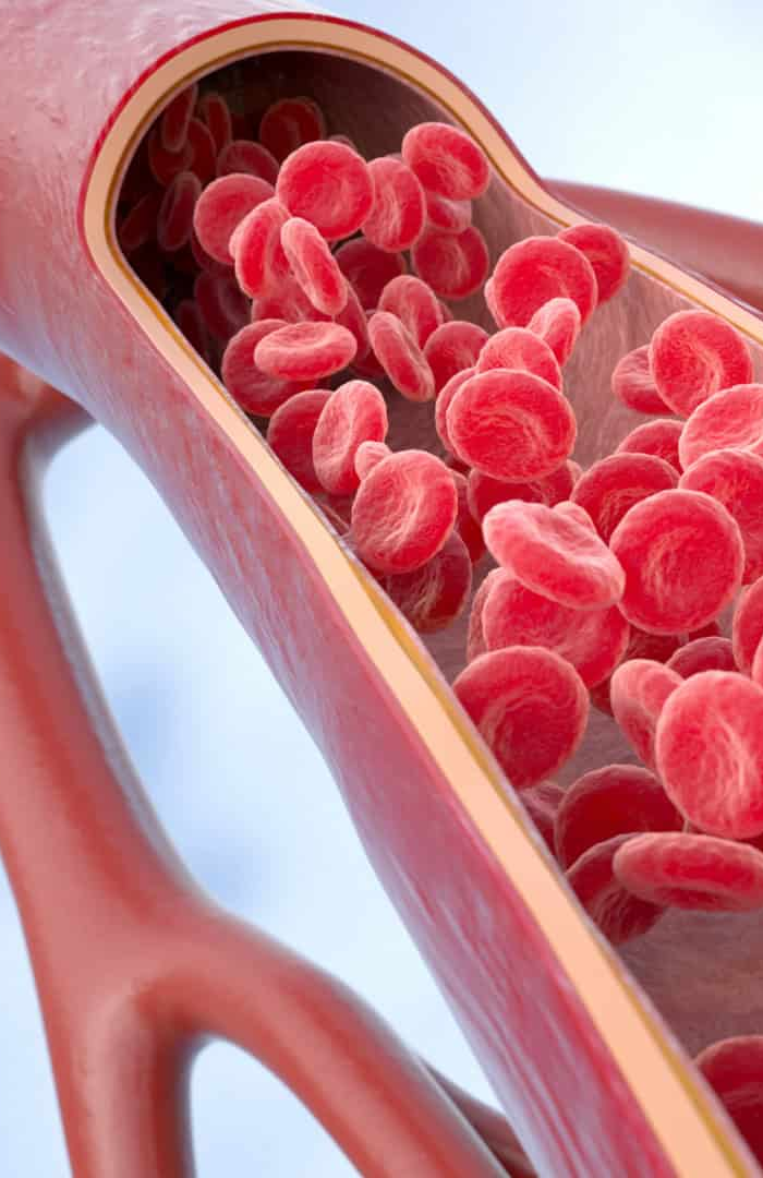 VÍDEO: Ultrassom 4D inova ao mapear fluxo sanguíneo com precisão inédita