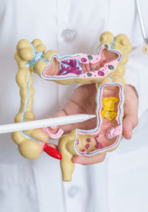 IA desvenda mistério de 25 anos sobre o intestino e a doença de Crohn