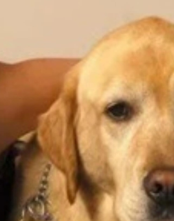 Atriz cega choca ao relatar maus-tratos na Globo